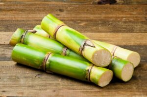 El compromís ambiental a Sarau i més