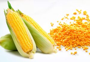 El barri Sants de Barcelona a Sarau i més