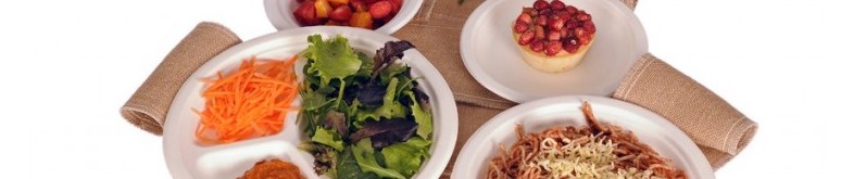 plats-i-bols-compostables-ecologics-sarau